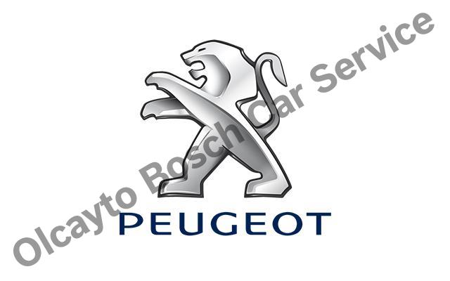 Maslak Peugeot Servisi 
